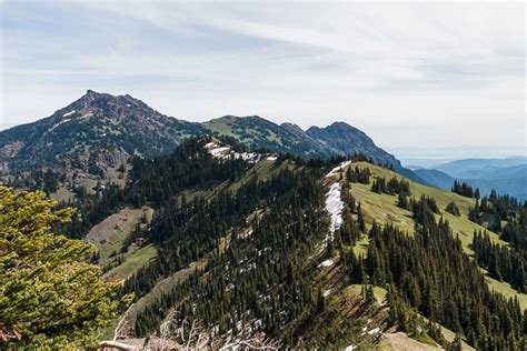 Everything You Need To Know About The Hurricane Ridge Hike The