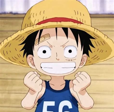 Pin By Lanlan On One Piece In 2020 One Piece Manga One Piece Luffy