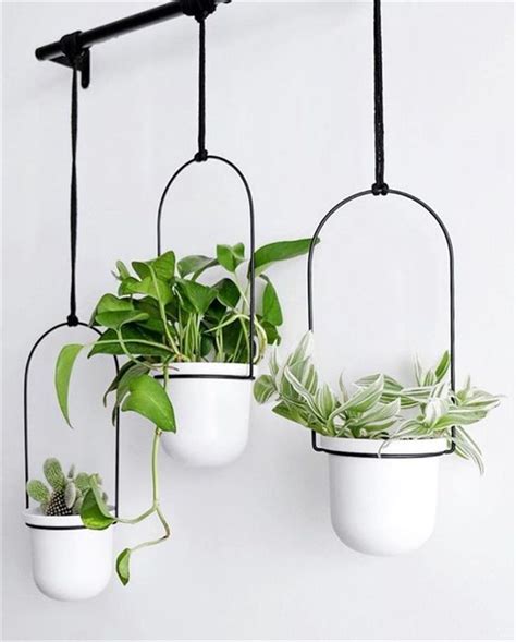 60 Impressive And Simple Indoor Hanging Plants Ideas For Your Home