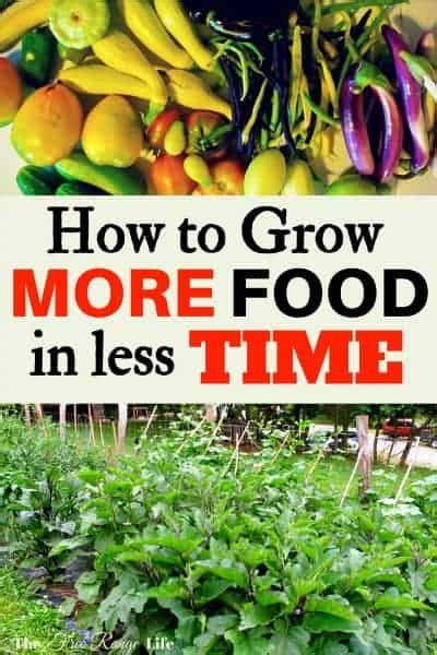 How To Grow More Food In Less Time