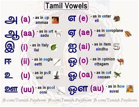 Tamil Vowels Chart With Pictures For Preschoolerstamil Alphabet Chart