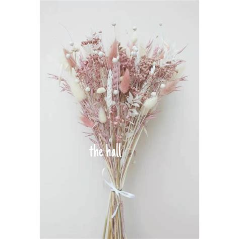 Make harry & david your destination for flowers gifts that are sure to delight. Local ready stock Pampas/bunny tails/1 Bunch Lover grass ...