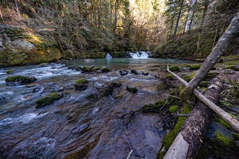 Cavitt Creek Falls Recreation Site Cavitt Creek Falls Recr Flickr