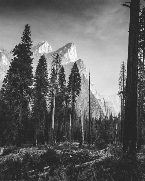 443 Yosemite Valley Black White Stock Photos Free And Royalty Free
