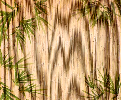 Bamboo Background Great For Any Project Frame Of Bamboo Leaves — Stock
