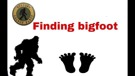 Finding Bigfoot Youtube