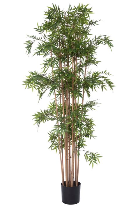 Large Artificial Oriental Bamboo Tree 2m Artificial Green