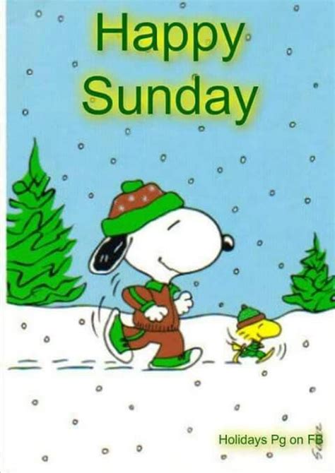 Happy Sunday Snoopy And Woodstock Dressed In Winter Running Gear And