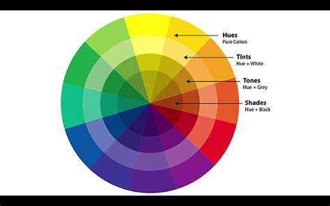 Dressing Your Truth Hues Tints Tones And Shades Color Theory Color