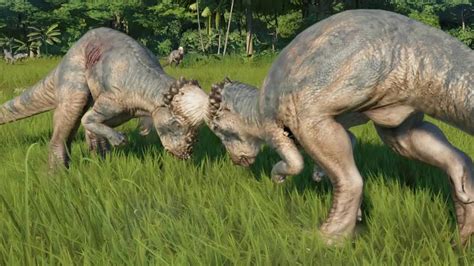Pachycephalosaurus Vs Pachycephalosaurus Jurassic World Evolution