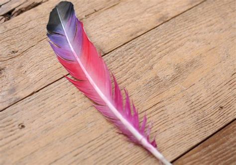 Check spelling or type a new query. DIY Painted Feathers | Feather painting, Diy painting ...