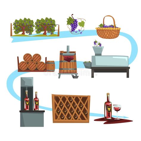 Wine Production Process Production Beverage From Grape Flat Vector