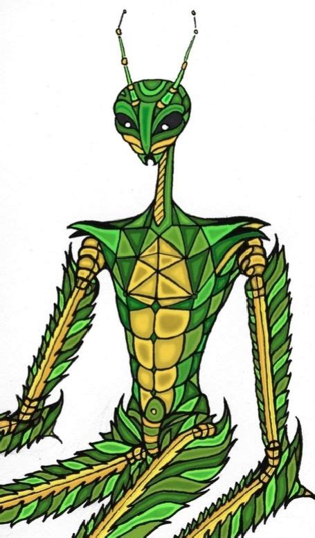 Artist Vinny Michaud Graphic Illustration Of A Praying Mantis Humanoid