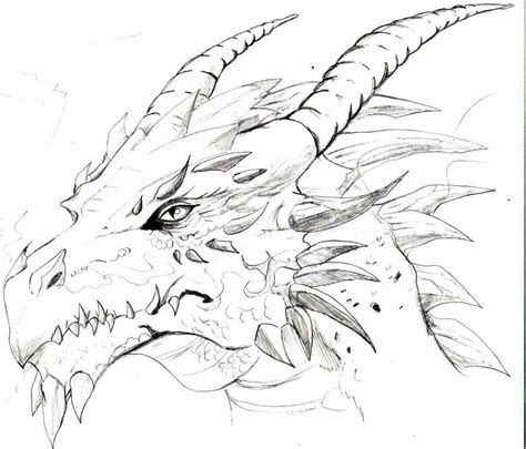 20+ fantastic ideas cool dragon head dragon drawing easy #12016445. Drawings Of A Dragons Head Sketches of dragons heads ...