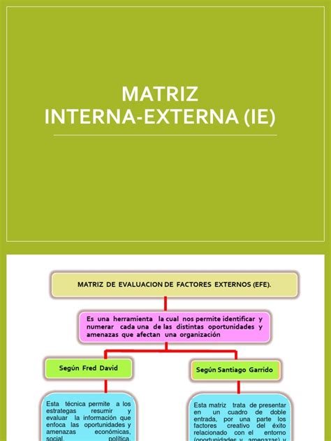 Matriz Interna Externa Ie Pdf Matriz Matemáticas Business
