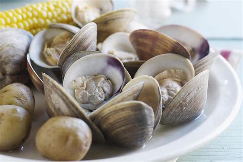 Tips For Cooking Fresh Clams Clam Recipes How To Cook Clams Steamed