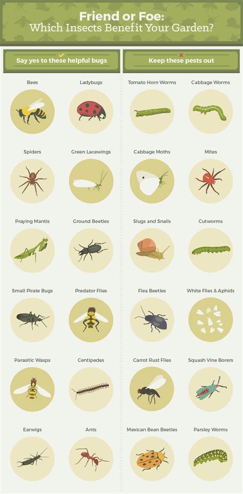 Common Insect Pest And Diseases Of Vegetable Crops Products Are Listed In Alphabetical Order
