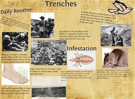 Life In The Trenches Of Ww1 Book Inspiration History 10 Poetry Art