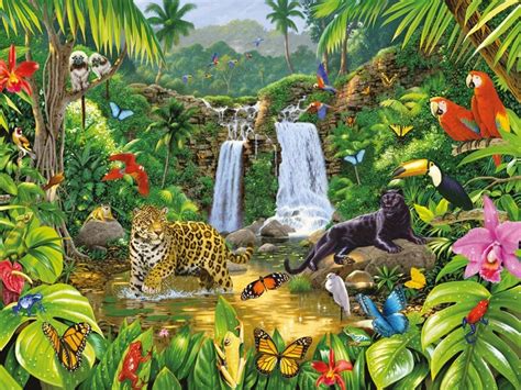 Animales De La Selva Tropical Características Y Más ️ Postposmo