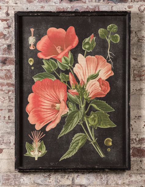Our Wood Framed Vintage Botanical Print With Glass Front Is A