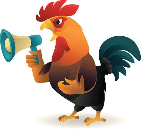 Best Angry Rooster Illustrations Royalty Free Vector