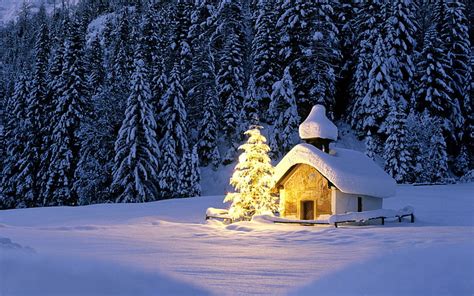 Hd Wallpaper Snow Covered Cabin Winter Forest Light Lights Ate