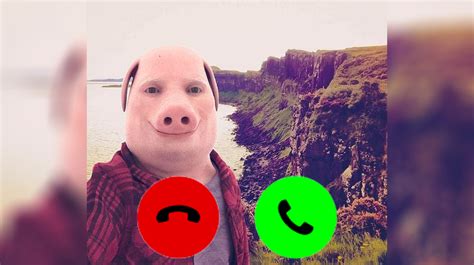 Who Is John Pork And Why Is He Calling You Tiktoks Favorite Pig Man