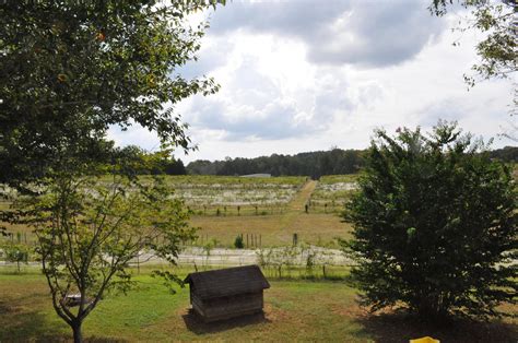 15.5 beautiful rolling acres nestled in the mountain foothills of north carolina. Land for Sale in the NC Mountains and the SC Foothills