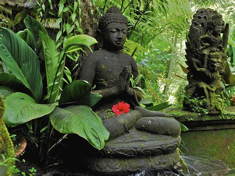 Buddha Zen Garden Wallpapers Top Free Buddha Zen Garden Backgrounds