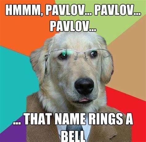 Pavlov Jokes Funny Friday Memes Psychology Humor Friday Humor