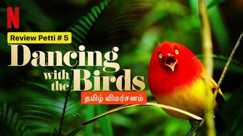 Dancing With The Birds Tamil Review Netflix Documentary Youtube