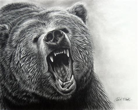 35 Mindblowing Realistic Pencil Drawings Inspirationfeed Grizzly