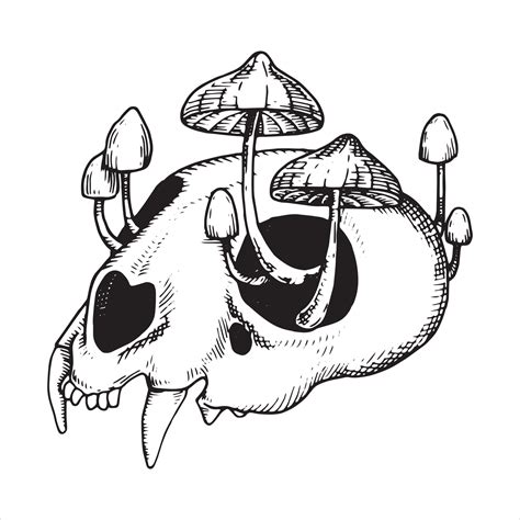 Vector Drawing Skull And Poisonous Mushrooms Graphic Drawing In Sketch Style Halloween Theme