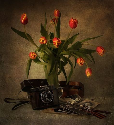 Tulipán régi fotókkal. | Цветы, Тюльпаны, Натюрморт
