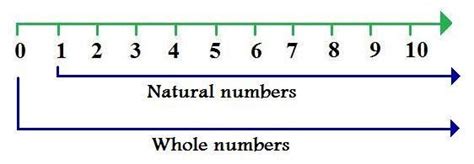Whole Numbers And Natural Numbers Worksheet
