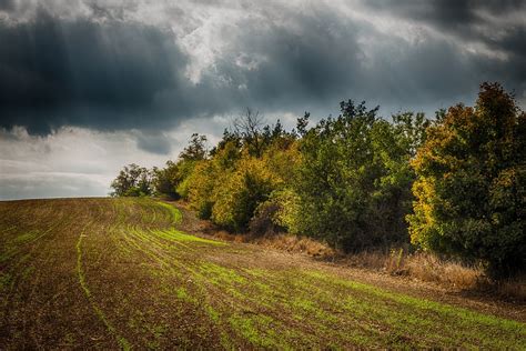 Free Photo Hdr Trees Heaven Field Free Image On Pixabay 1763212