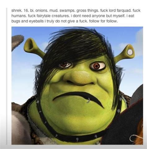 Punkgoth Shrek Shrek Shrek Memes Fairytale Creatures