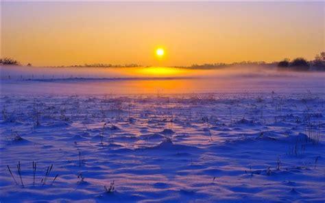 Winter Snow Fog Horizon Sky Dawn Sunrise Wallpapers Nature And