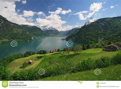 Lake Lucerne And The Alps Stock Photo Image Of Green 12784716
