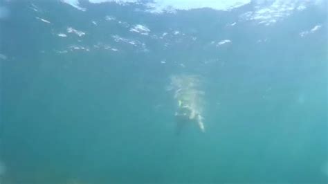 8 758 underwater girl videos royalty free stock underwater girl footage depositphotos