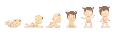 Processo De Crescimento Do Bebê Menina Download De Vetor
