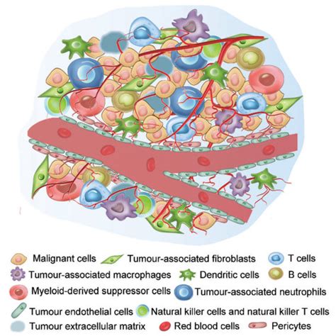 Pdf Overview Of Tumor Environment Responsive Nano Drug Delivery Systems In Tumor Immunotherapy