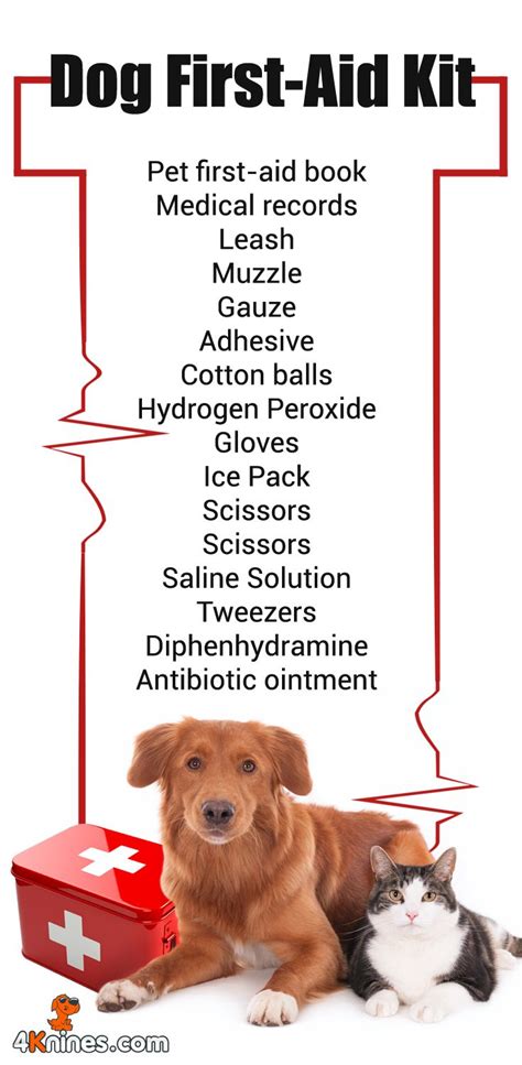 Dog First Aid Kit List Ivo