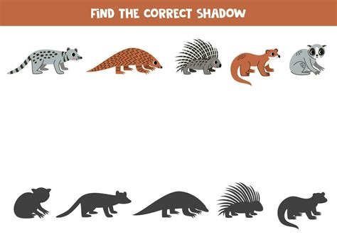 Find Shadows Of Cute Asian Animals Educational Logical Game For Kids
