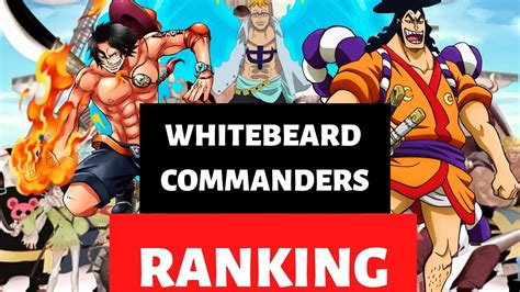 Whitebeard Pirates Commanders Power Levels In Onepiece Zorouchiha