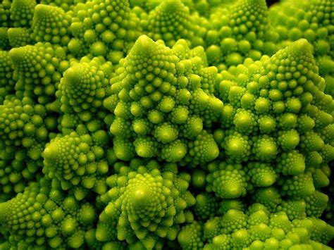 Earths Most Stunning Natural Fractal Patterns Wired