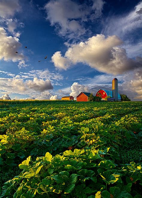 Living Wisconsin Photograph By Phil Koch Fine Art America