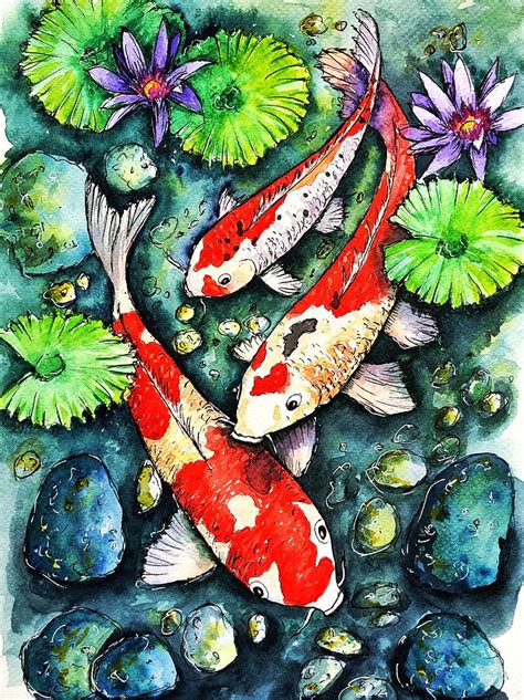 Koi Fish With Lotus Drawings