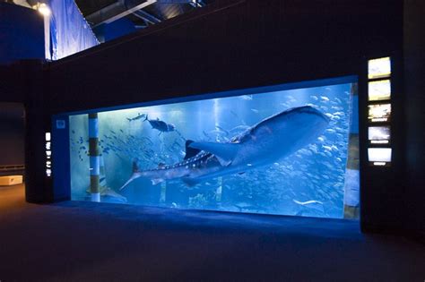 Notojima Aquarium Japan Rail And Travel