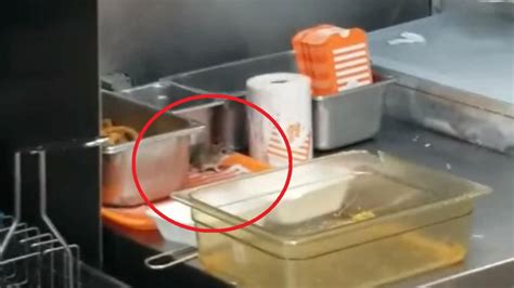 Mouse Caught On Video Jumping To Deep Fryer At Whataburger Restaurant